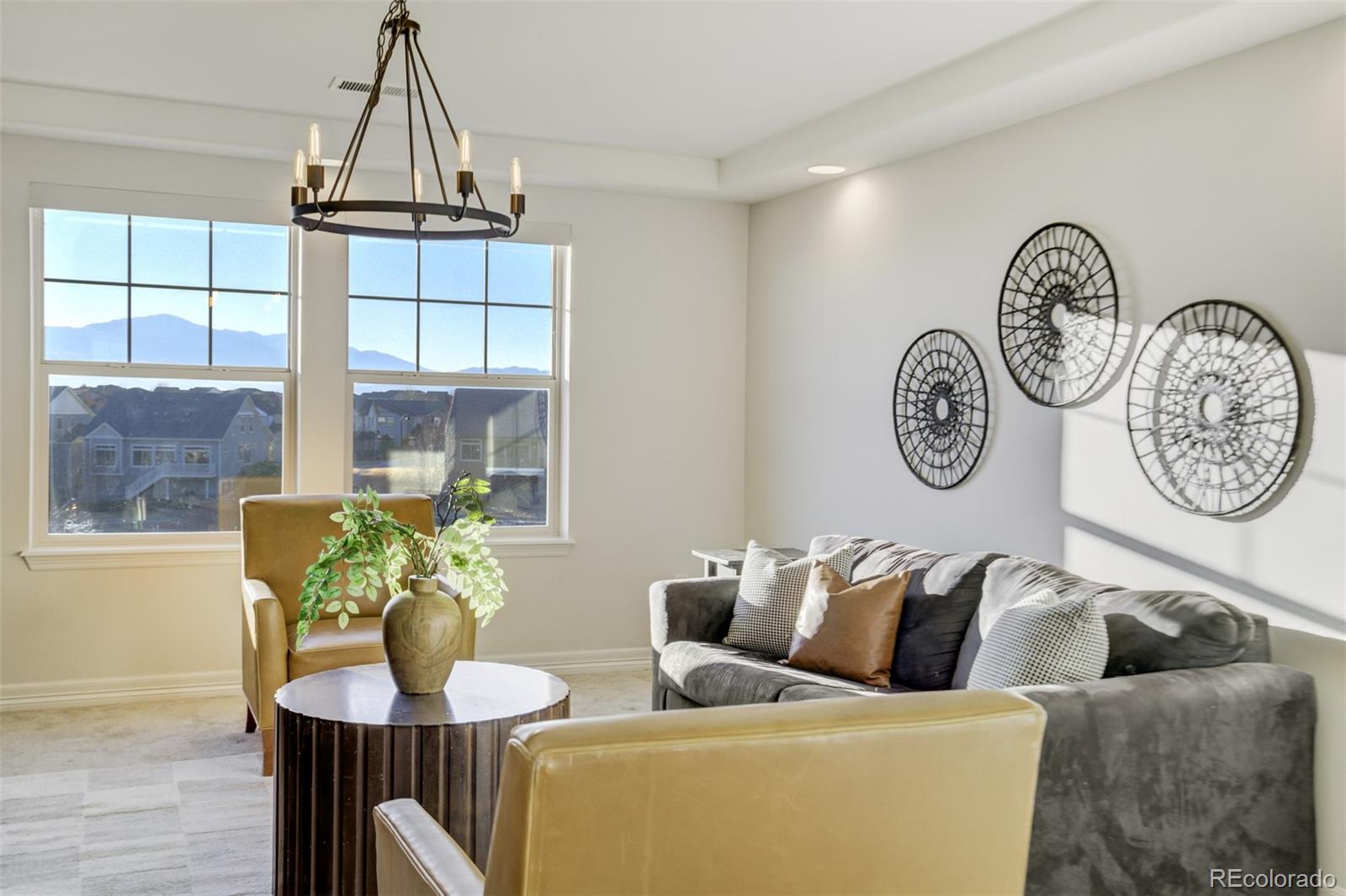 MLS Image #20 for 7233  tahoe rim drive,colorado springs, Colorado