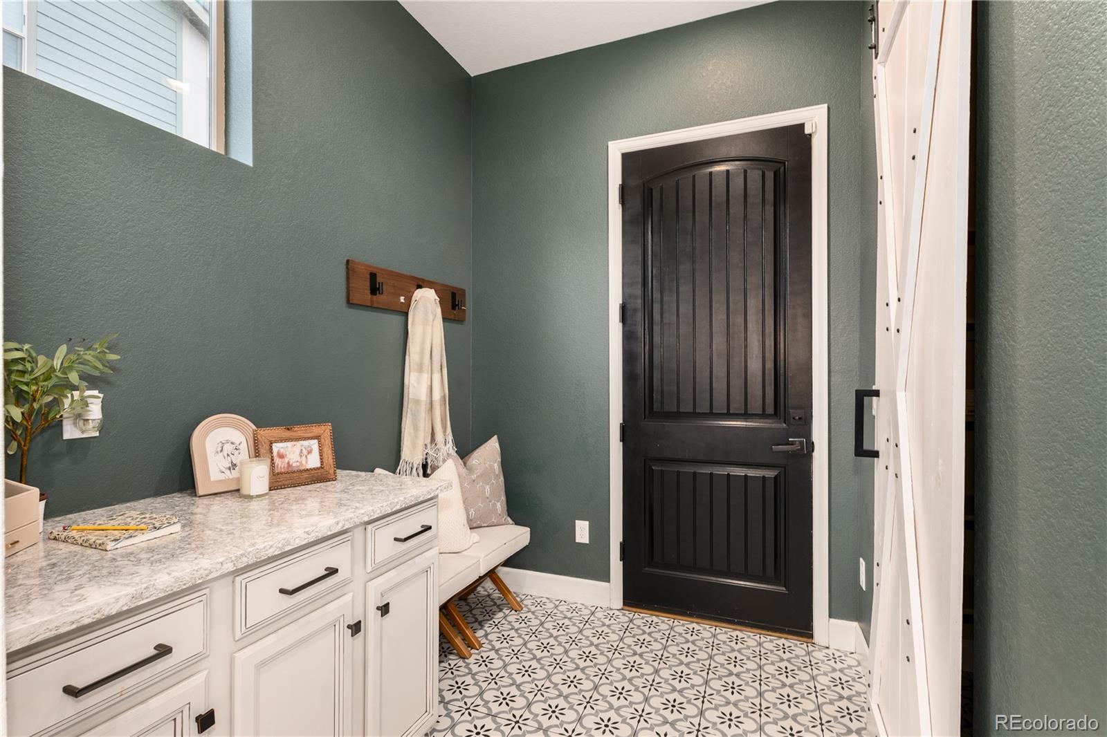 MLS Image #17 for 16392  spanish peak way,broomfield, Colorado