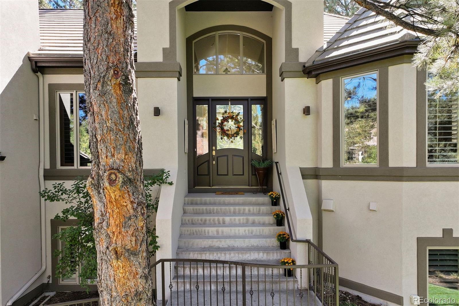MLS Image #1 for 124  silver leaf way,castle rock, Colorado