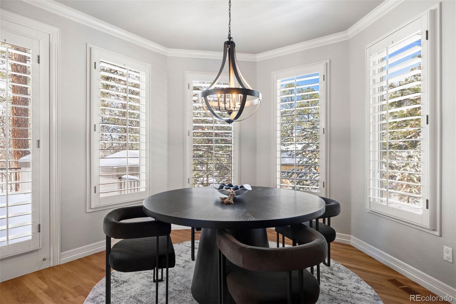 MLS Image #17 for 124  silver leaf way,castle rock, Colorado