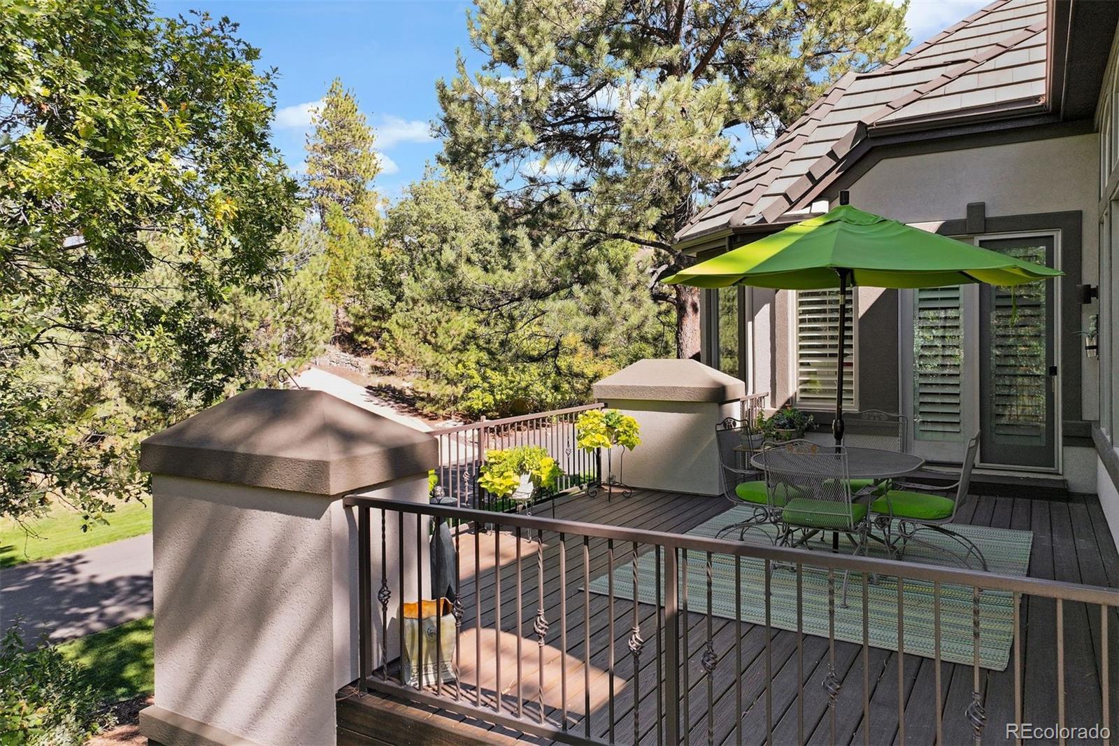 MLS Image #3 for 124  silver leaf way,castle rock, Colorado