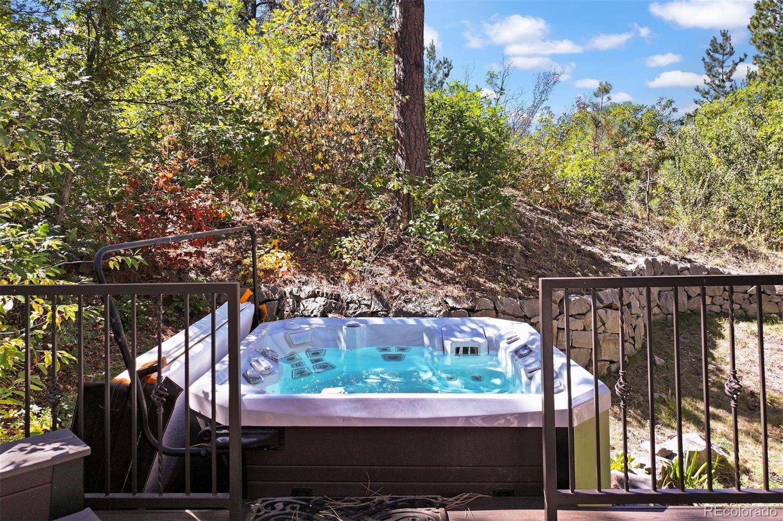 MLS Image #45 for 124  silver leaf way,castle rock, Colorado