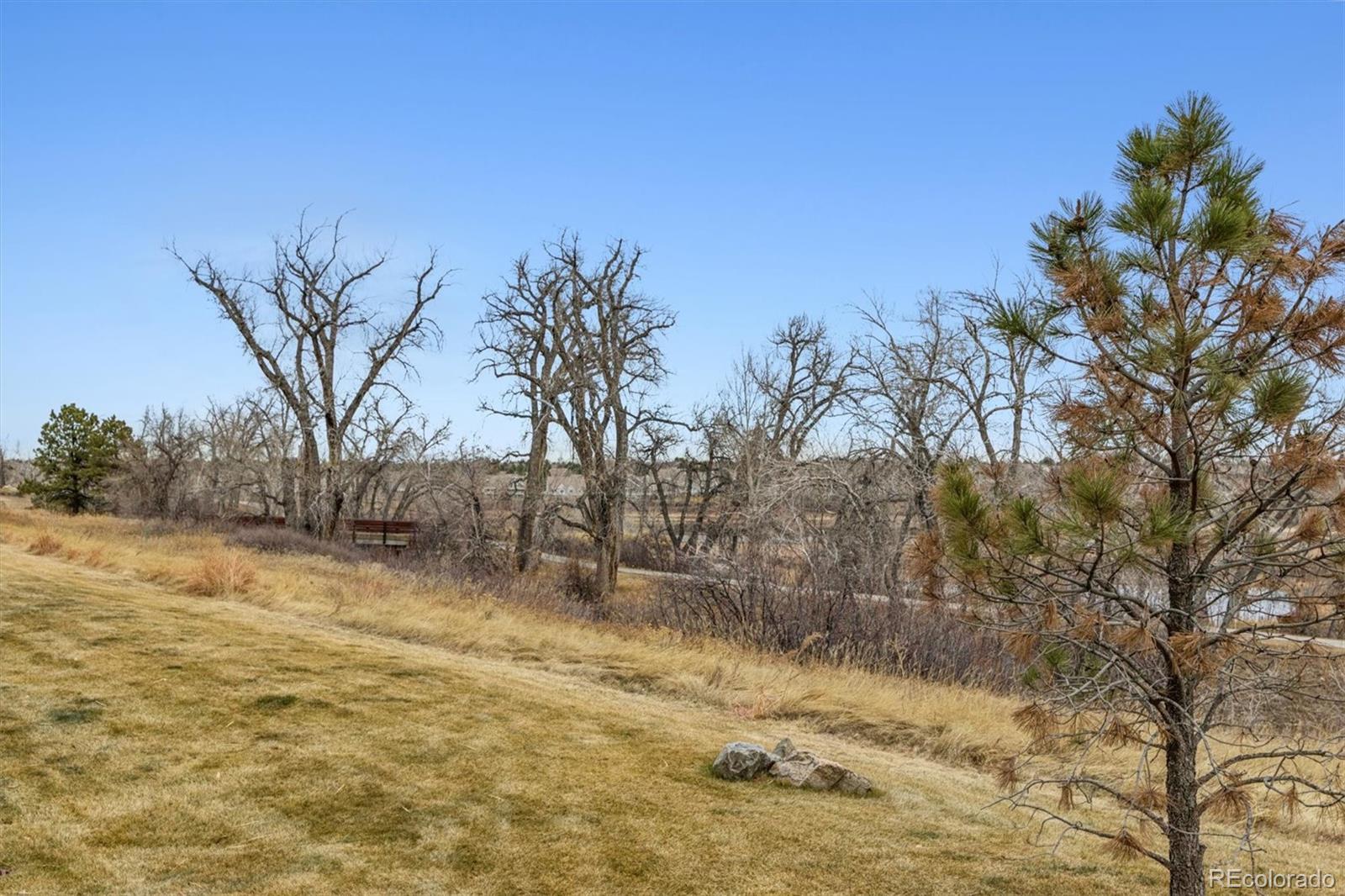 MLS Image #4 for 2065  primo road,highlands ranch, Colorado