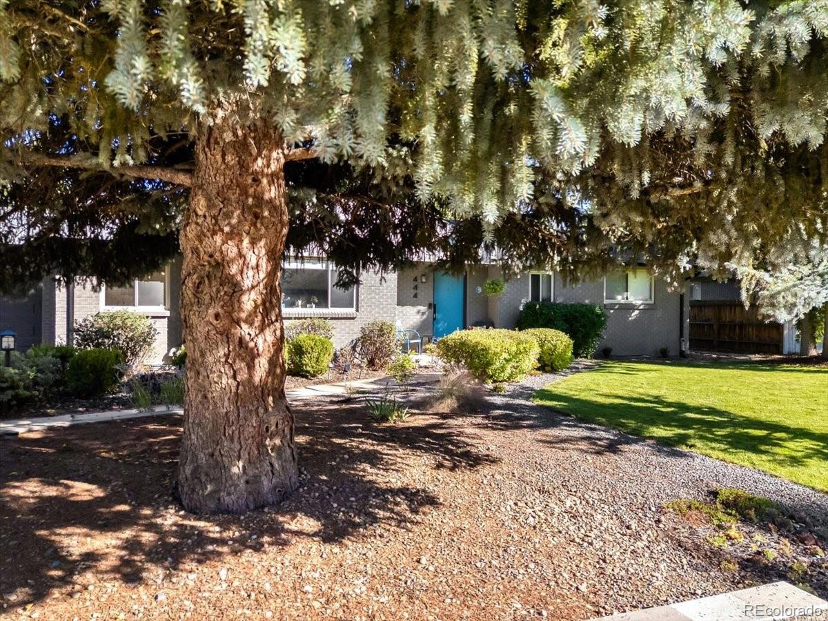 MLS Image #3 for 444 s niagara street,denver, Colorado
