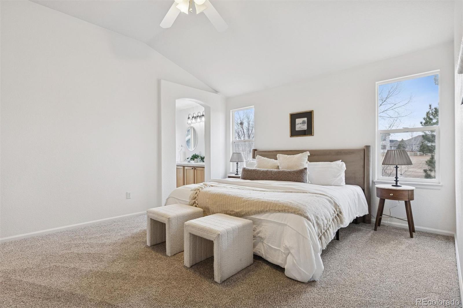 MLS Image #23 for 11451  whooping crane drive,parker, Colorado