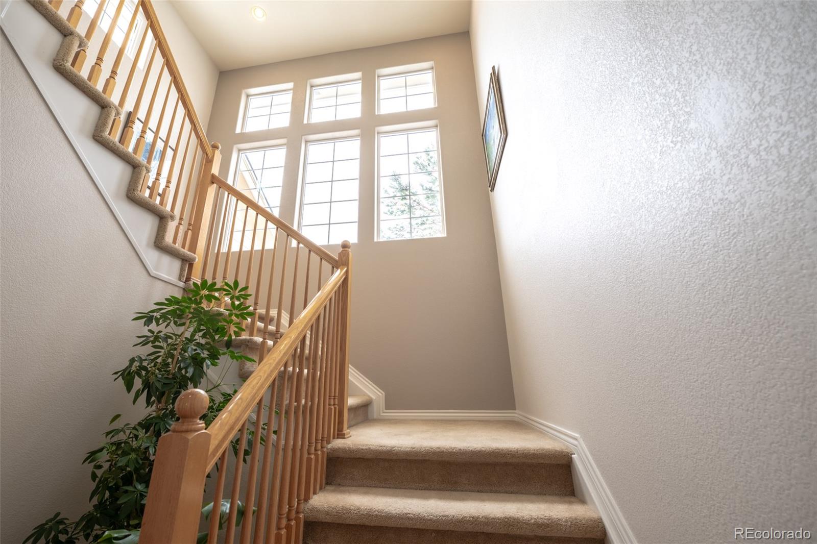 MLS Image #3 for 6540 s uravan court,aurora, Colorado