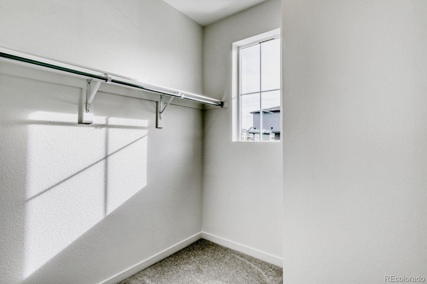 MLS Image #7 for 8969  yellowcress street ,littleton, Colorado