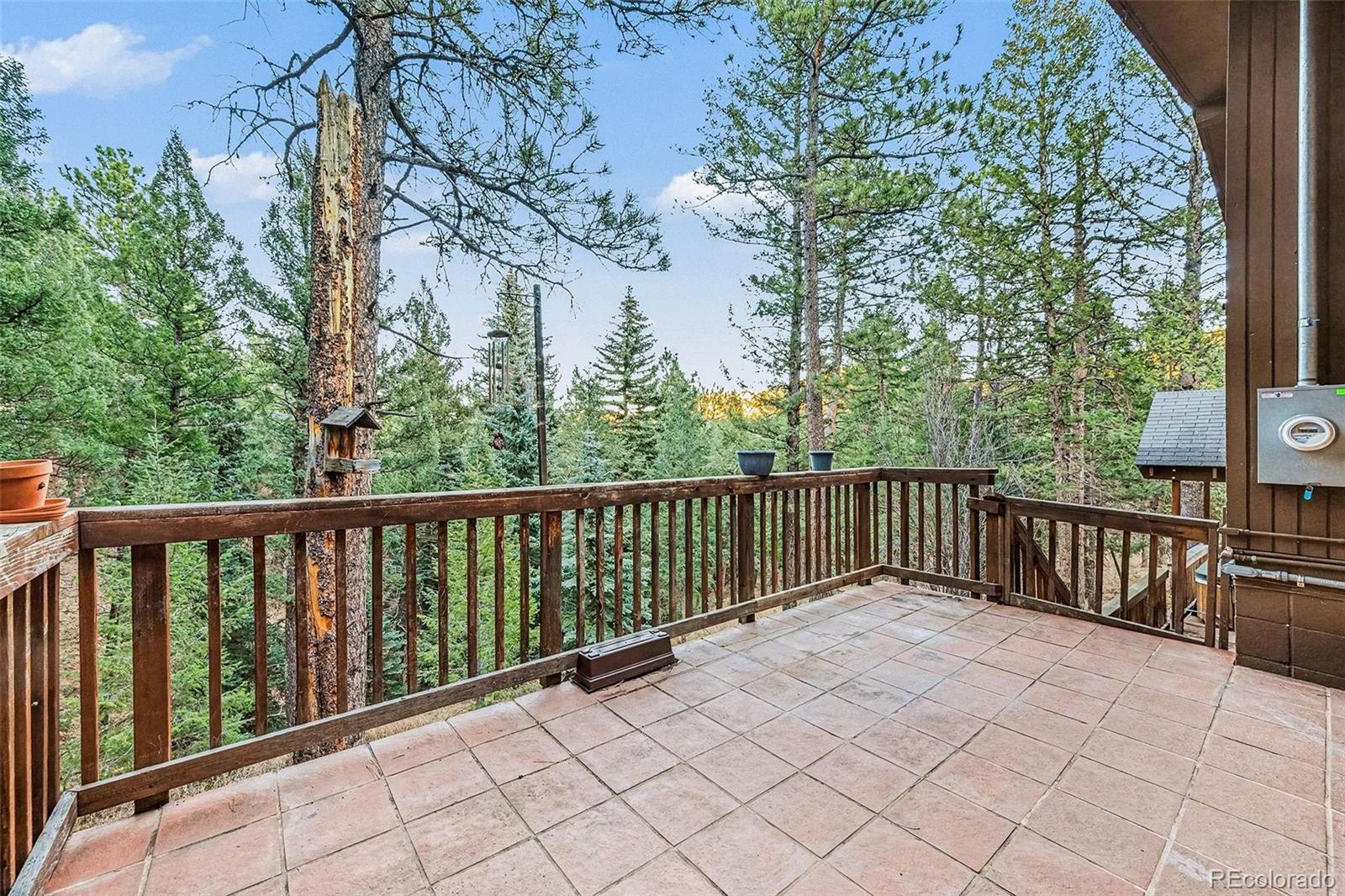 MLS Image #21 for 6460  doris lane,evergreen, Colorado