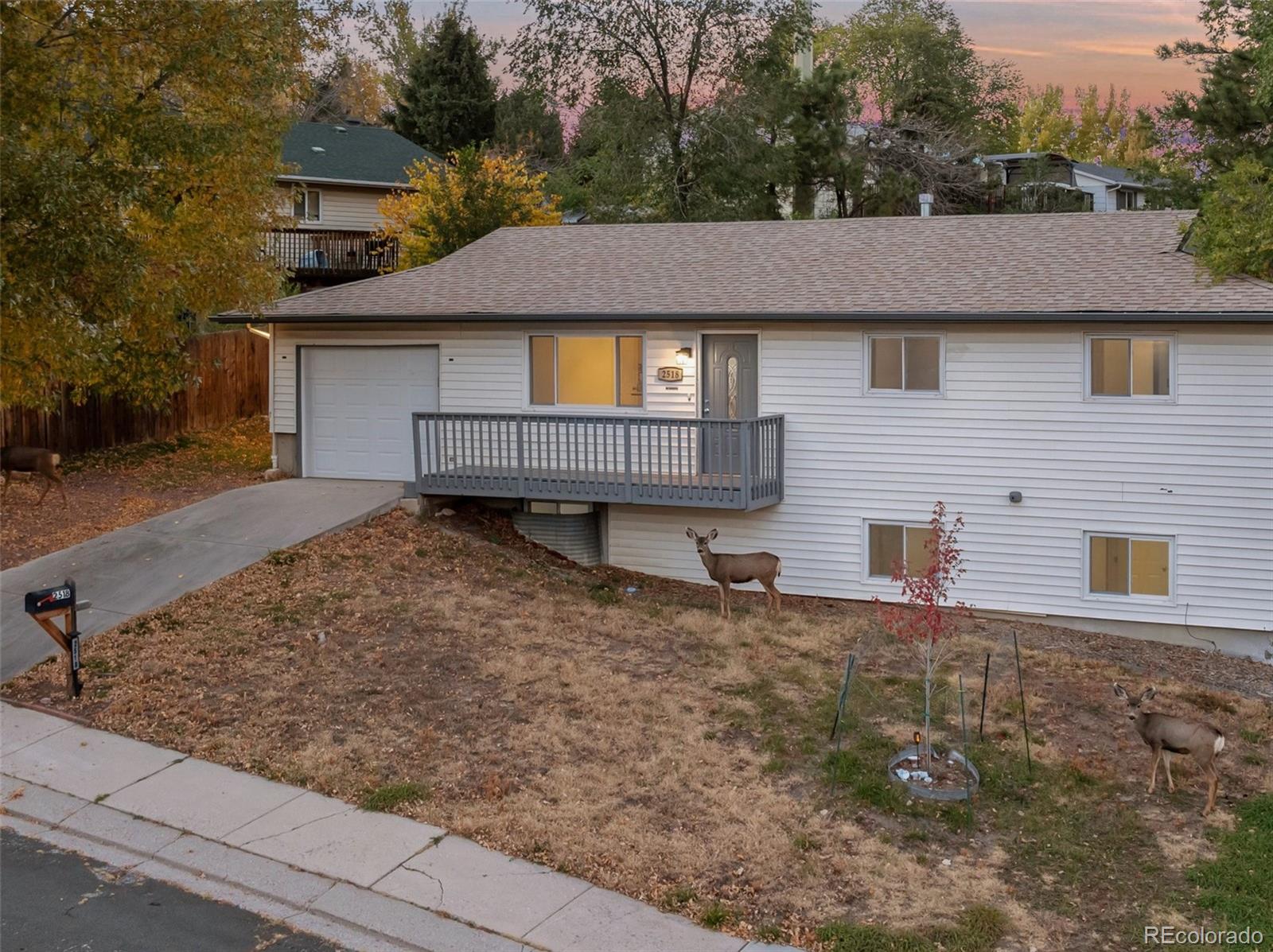 MLS Image #3 for 2518  royalty court,colorado springs, Colorado