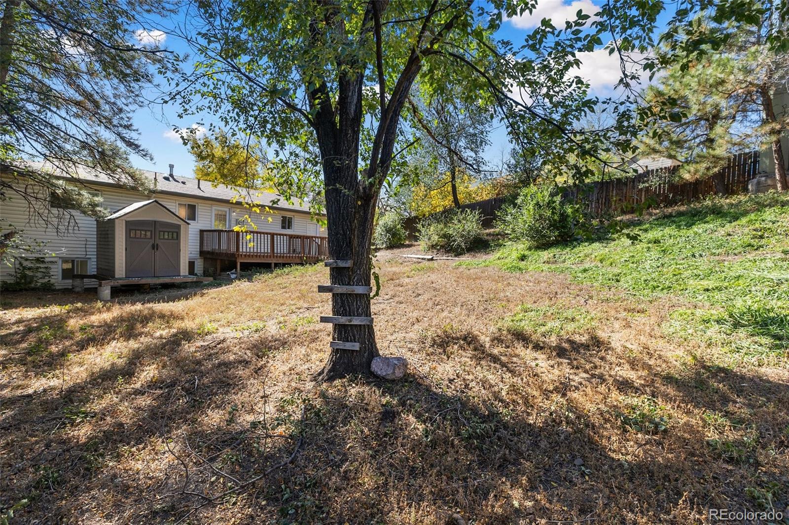 MLS Image #4 for 2518  royalty court,colorado springs, Colorado