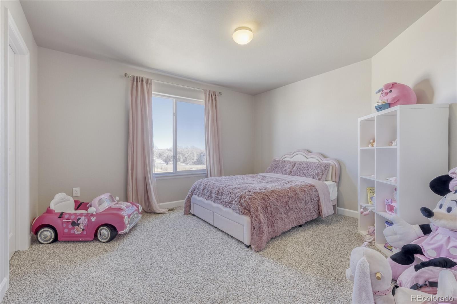 MLS Image #26 for 9093  peaceful valley road,colorado springs, Colorado
