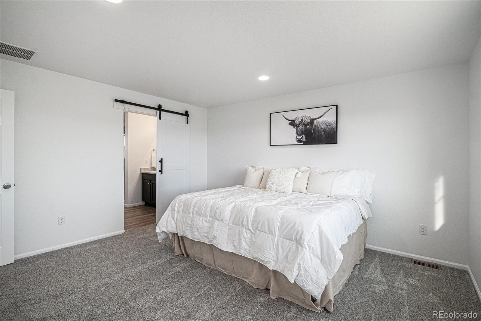 MLS Image #14 for 4656 s malaya court,aurora, Colorado