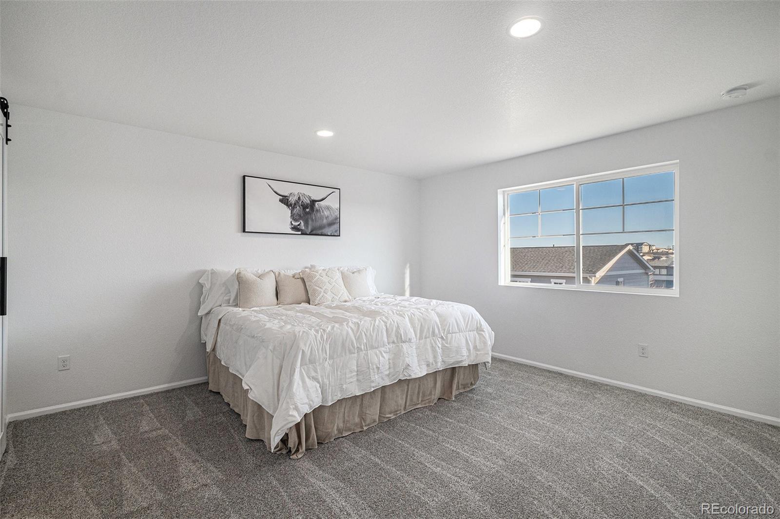 MLS Image #15 for 4656 s malaya court,aurora, Colorado