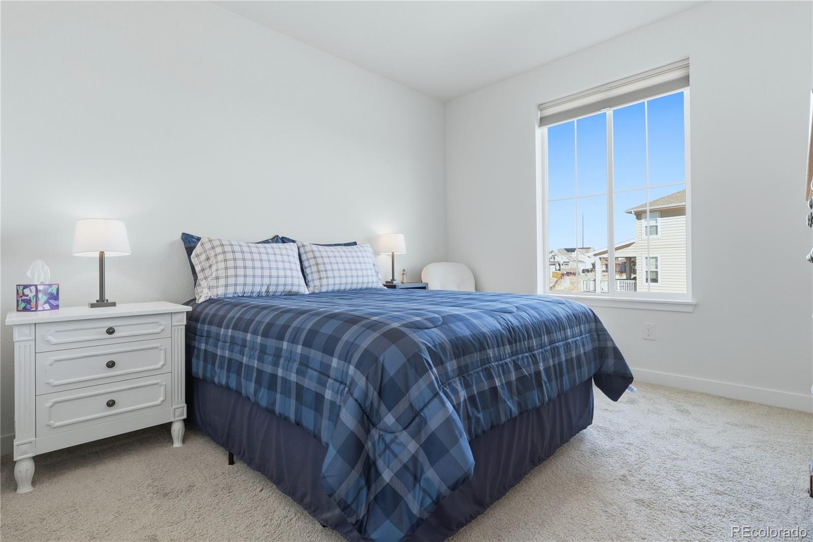 MLS Image #29 for 7022  hyland hills street,castle pines, Colorado