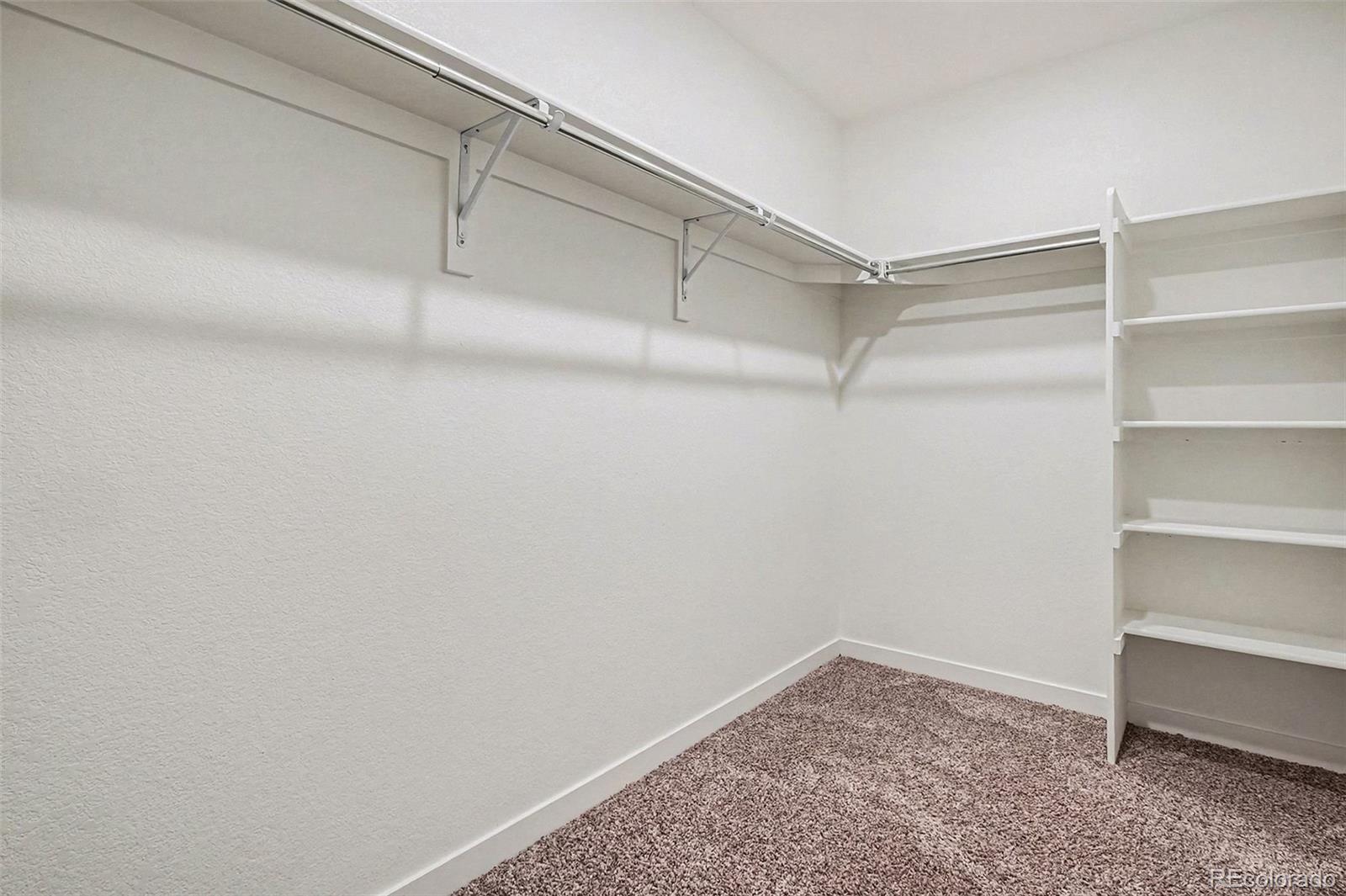 MLS Image #24 for 2305  rosette lane,castle rock, Colorado