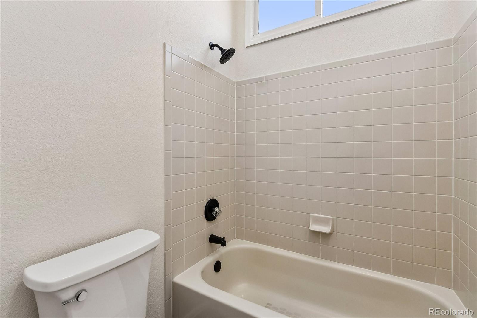 MLS Image #40 for 9268  canyon wren court,highlands ranch, Colorado