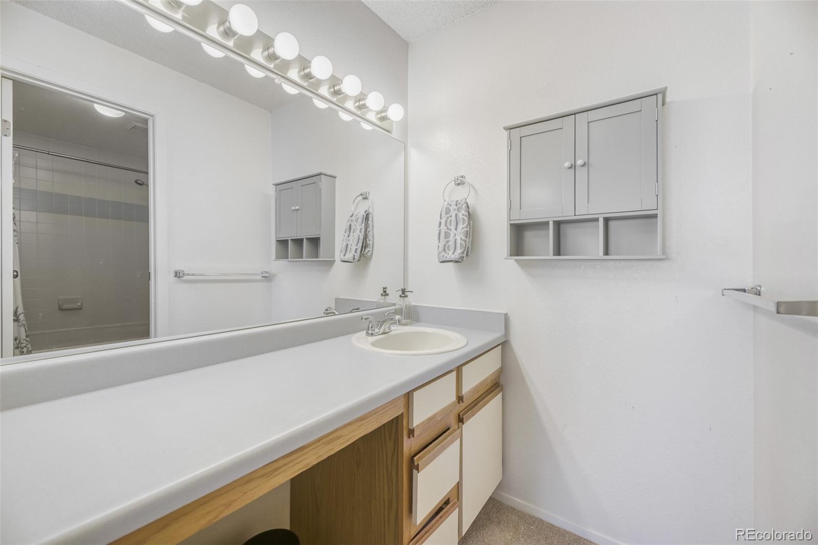 MLS Image #4 for 4760 s wadsworth boulevard,littleton, Colorado