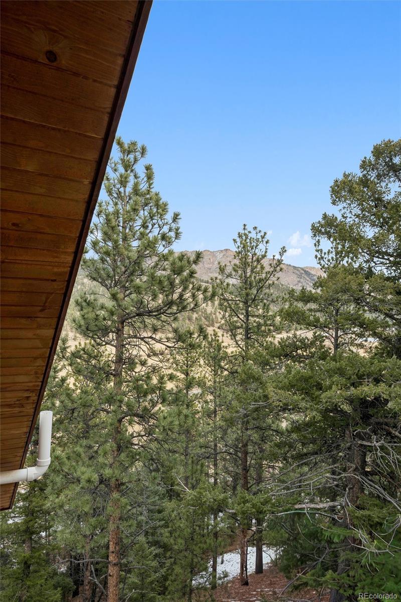 MLS Image #23 for 46  county road 64 ,shawnee, Colorado