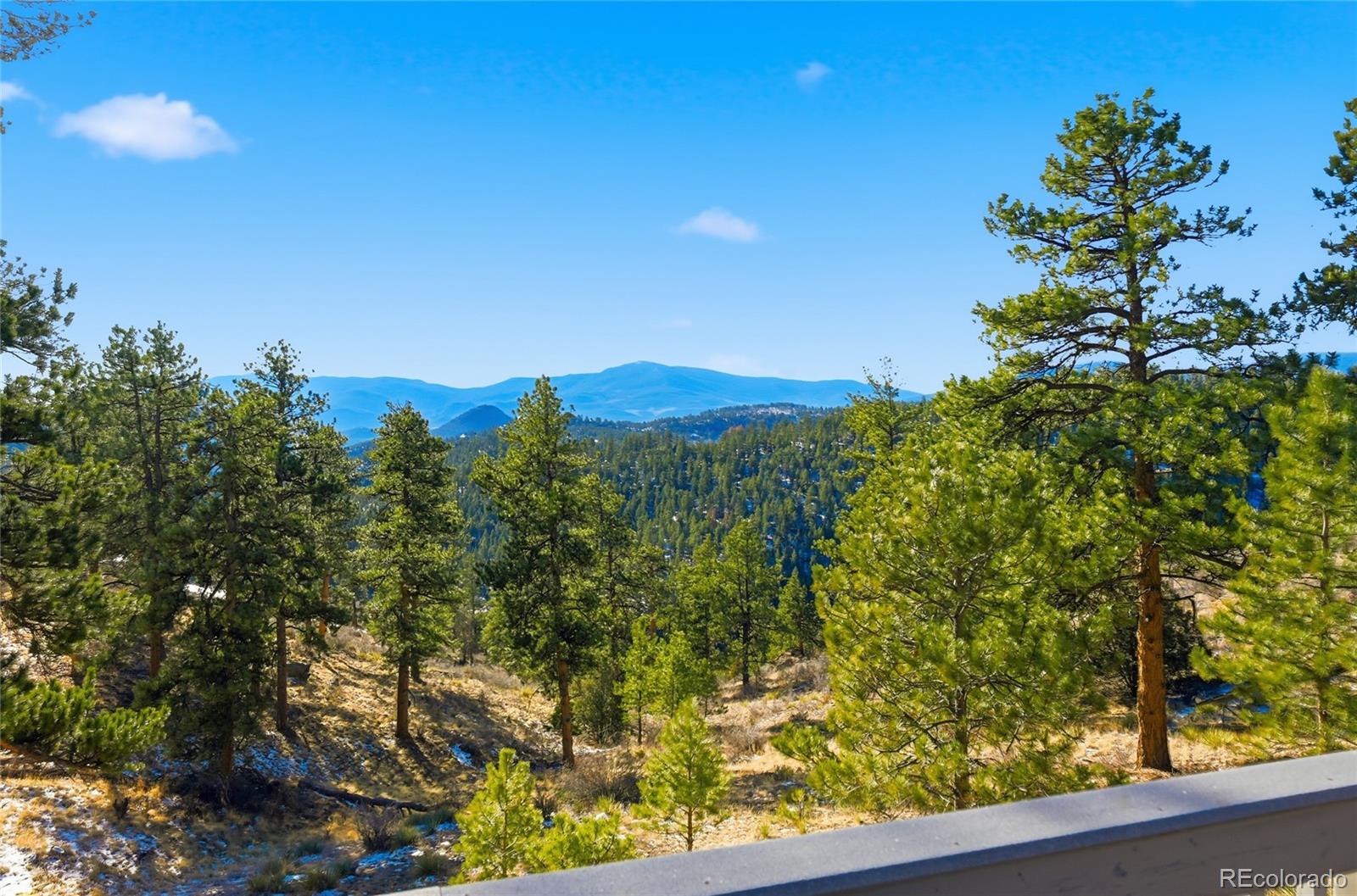 MLS Image #37 for 193  long ridge drive,bailey, Colorado