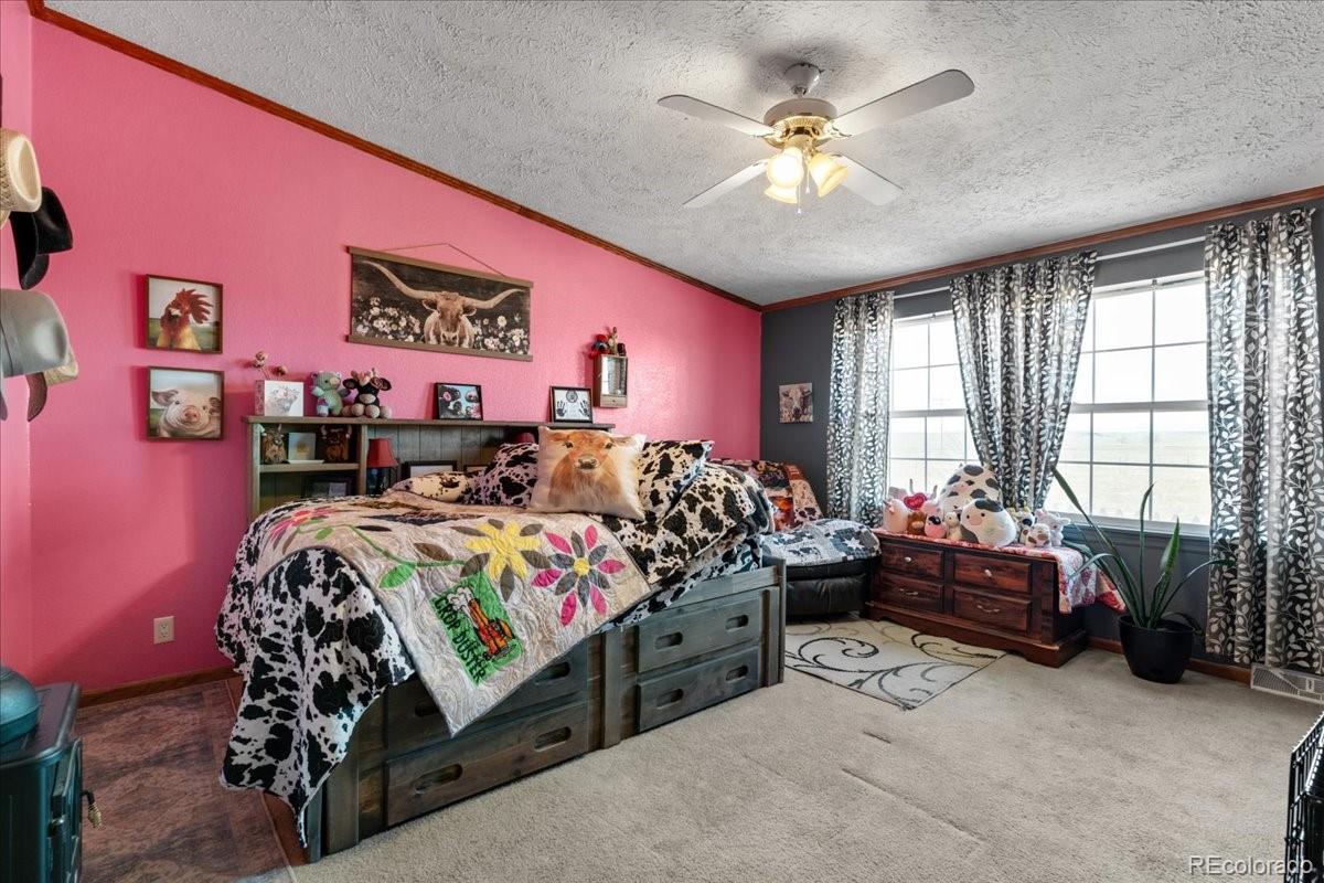 MLS Image #11 for 57048  county road 21 ,carr, Colorado