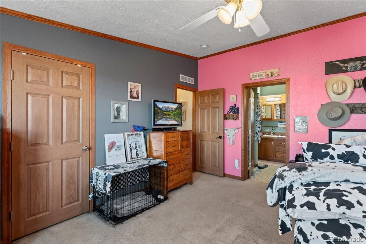 MLS Image #12 for 57048  county road 21 ,carr, Colorado