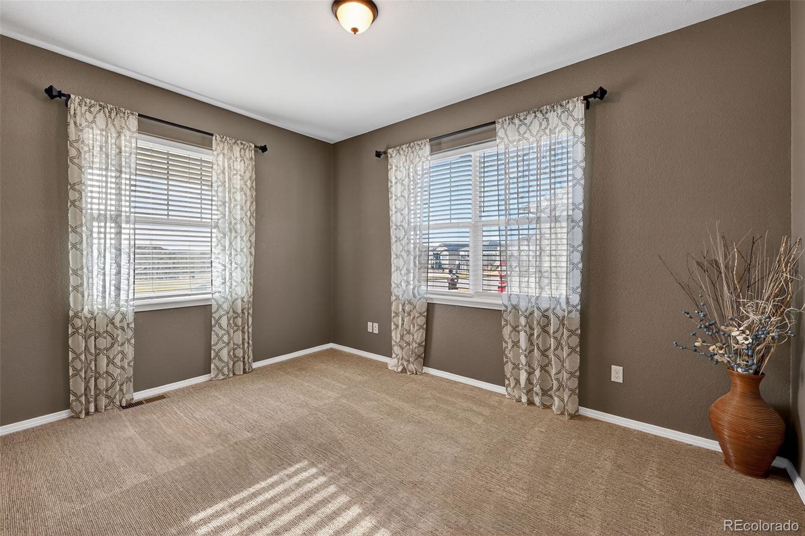 MLS Image #11 for 5564  leon young drive,colorado springs, Colorado