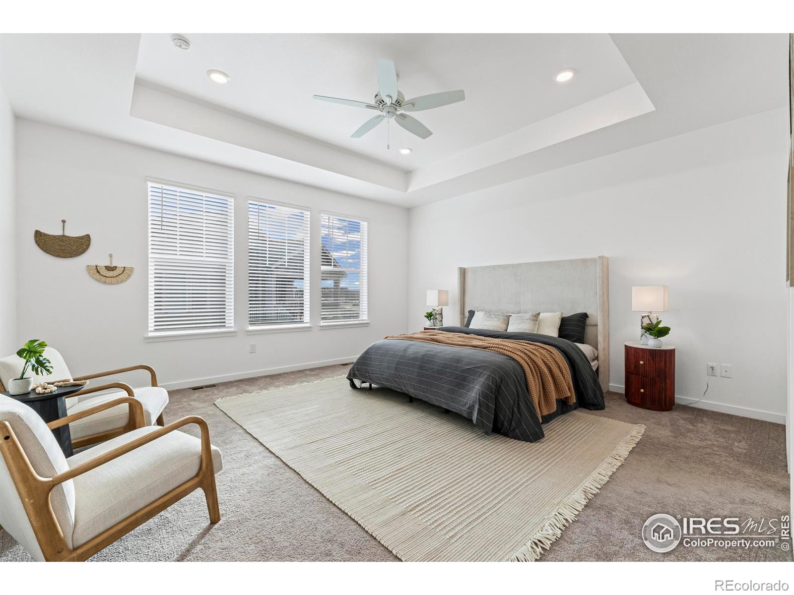 MLS Image #19 for 520  navion lane,fort collins, Colorado