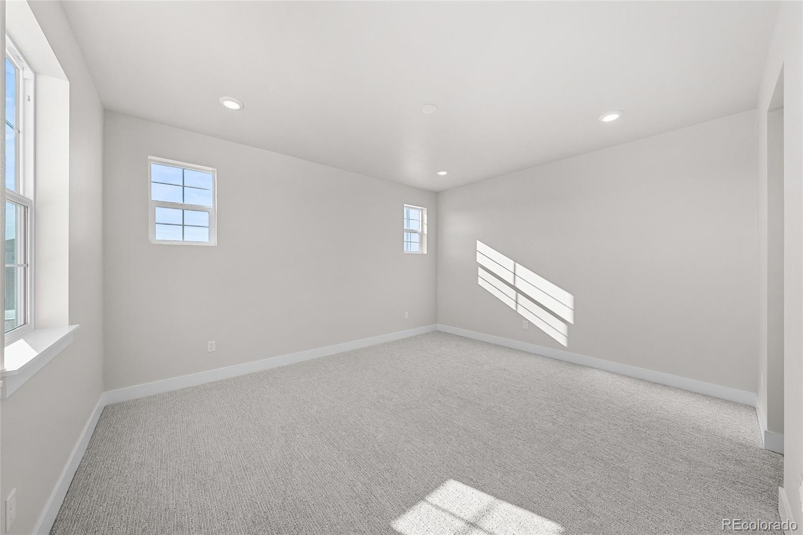 MLS Image #22 for 8737  whiteclover street,littleton, Colorado