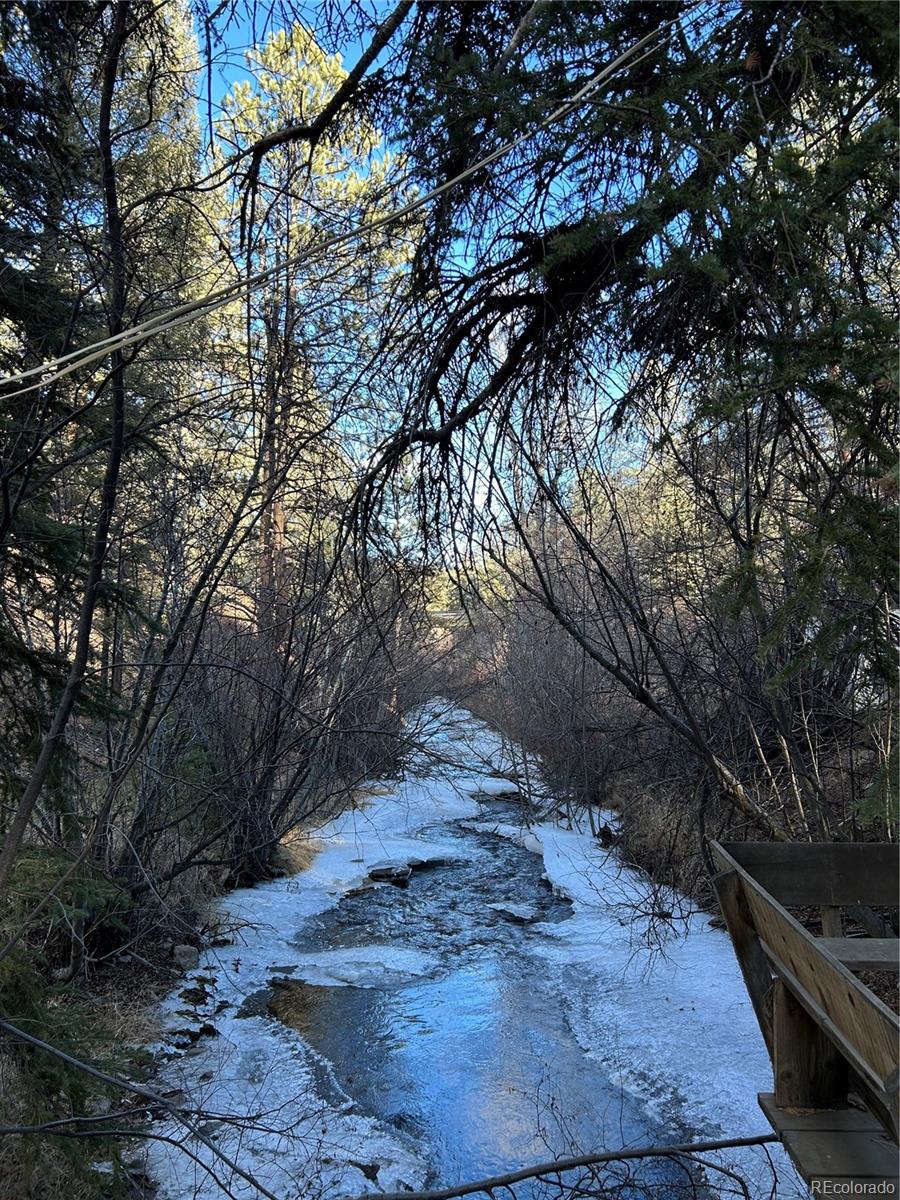 MLS Image #4 for 15322 s elk creek road,pine, Colorado