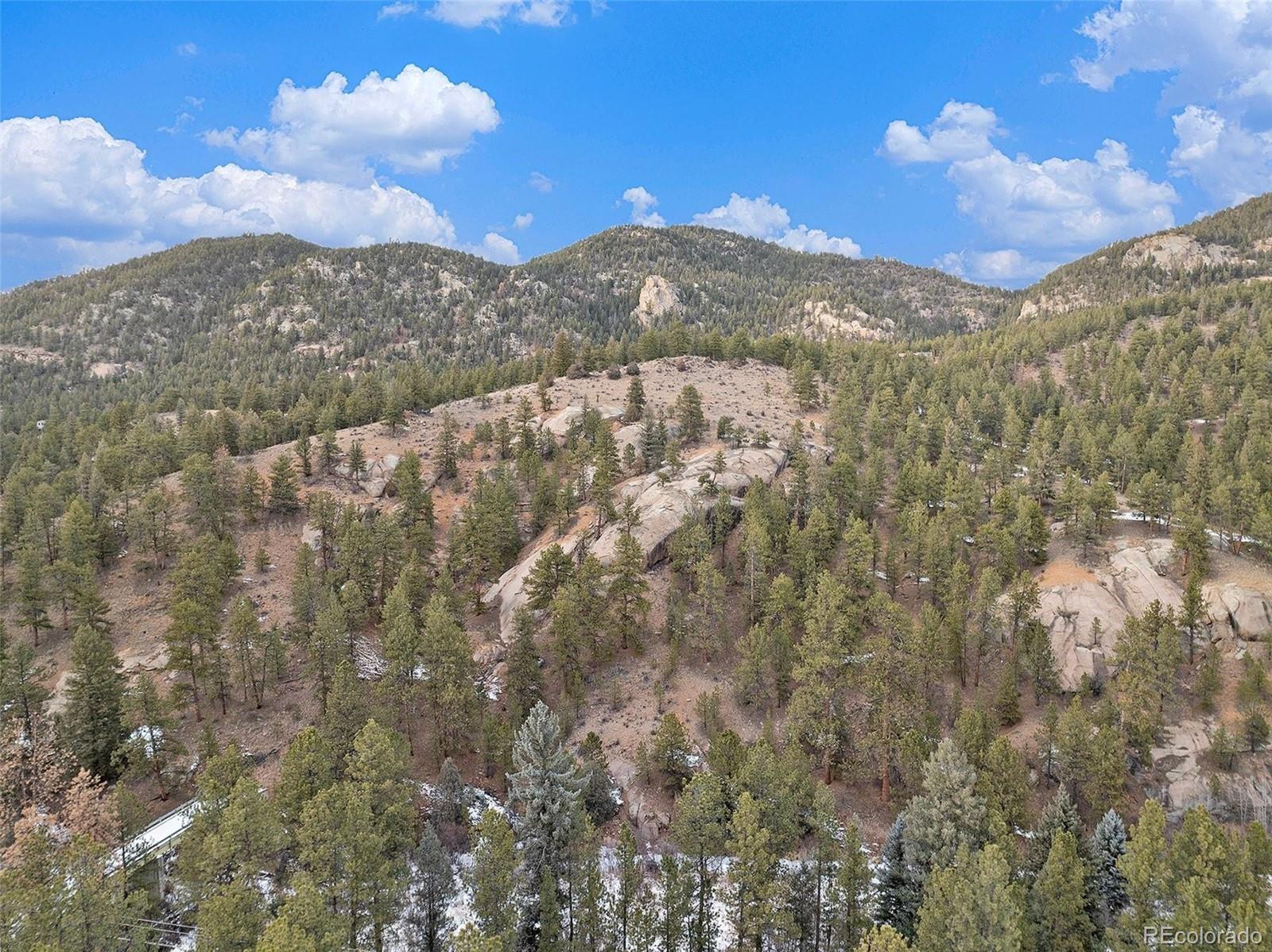 MLS Image #8 for 15322 s elk creek road,pine, Colorado