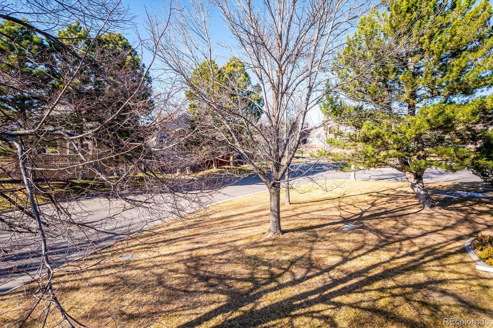 MLS Image #23 for 5038 s nelson street,littleton, Colorado