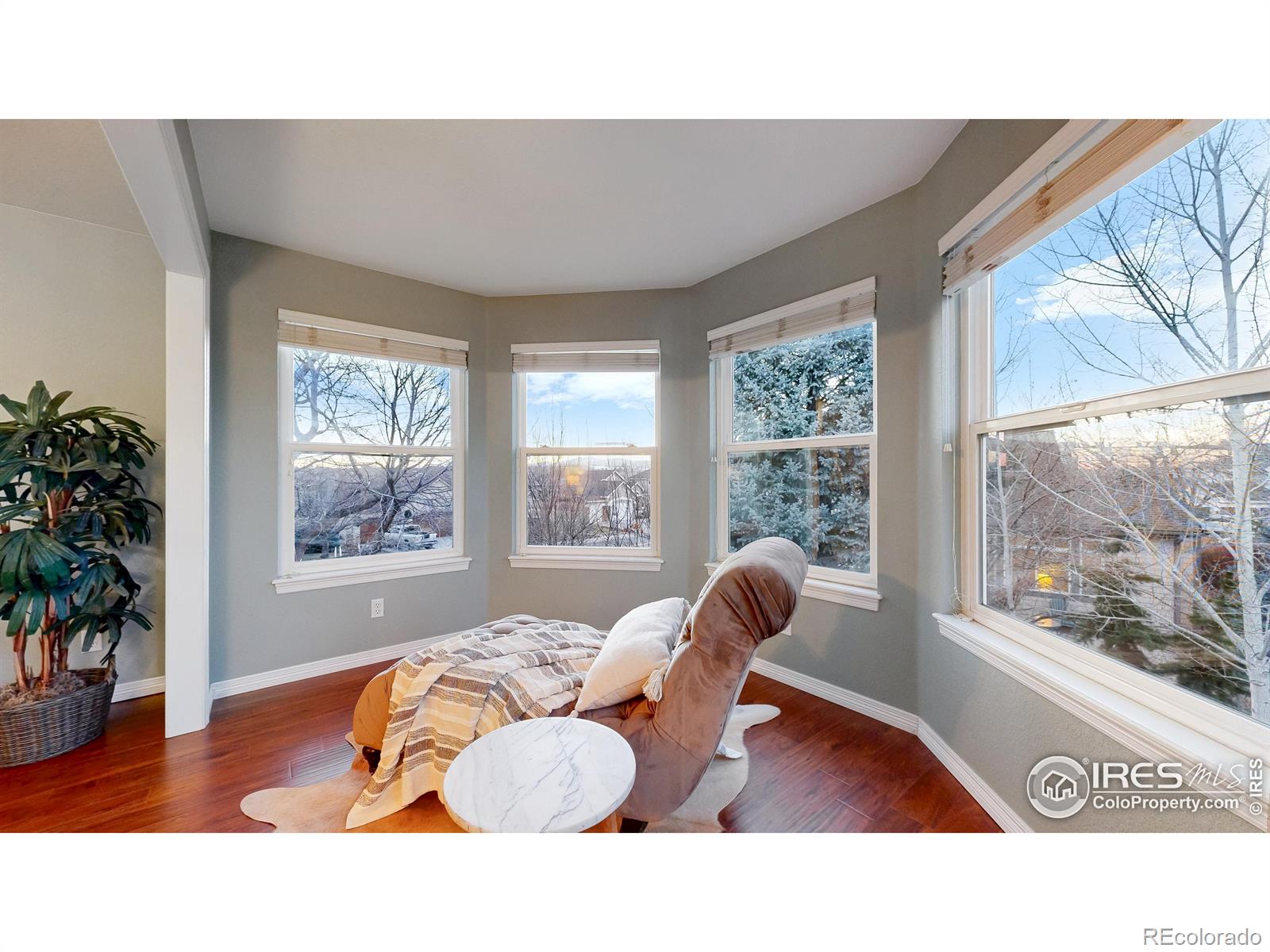 MLS Image #20 for 5427  highcastle drive,fort collins, Colorado