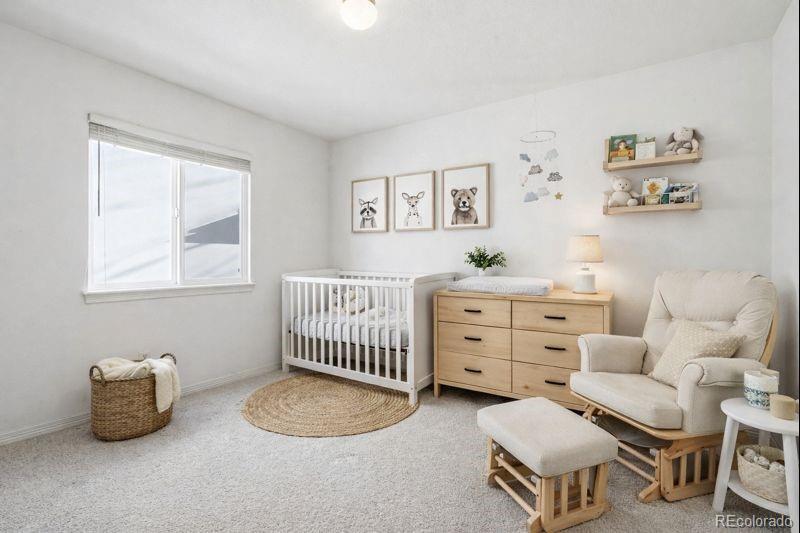 MLS Image #37 for 10482  grizzly gulch ,highlands ranch, Colorado