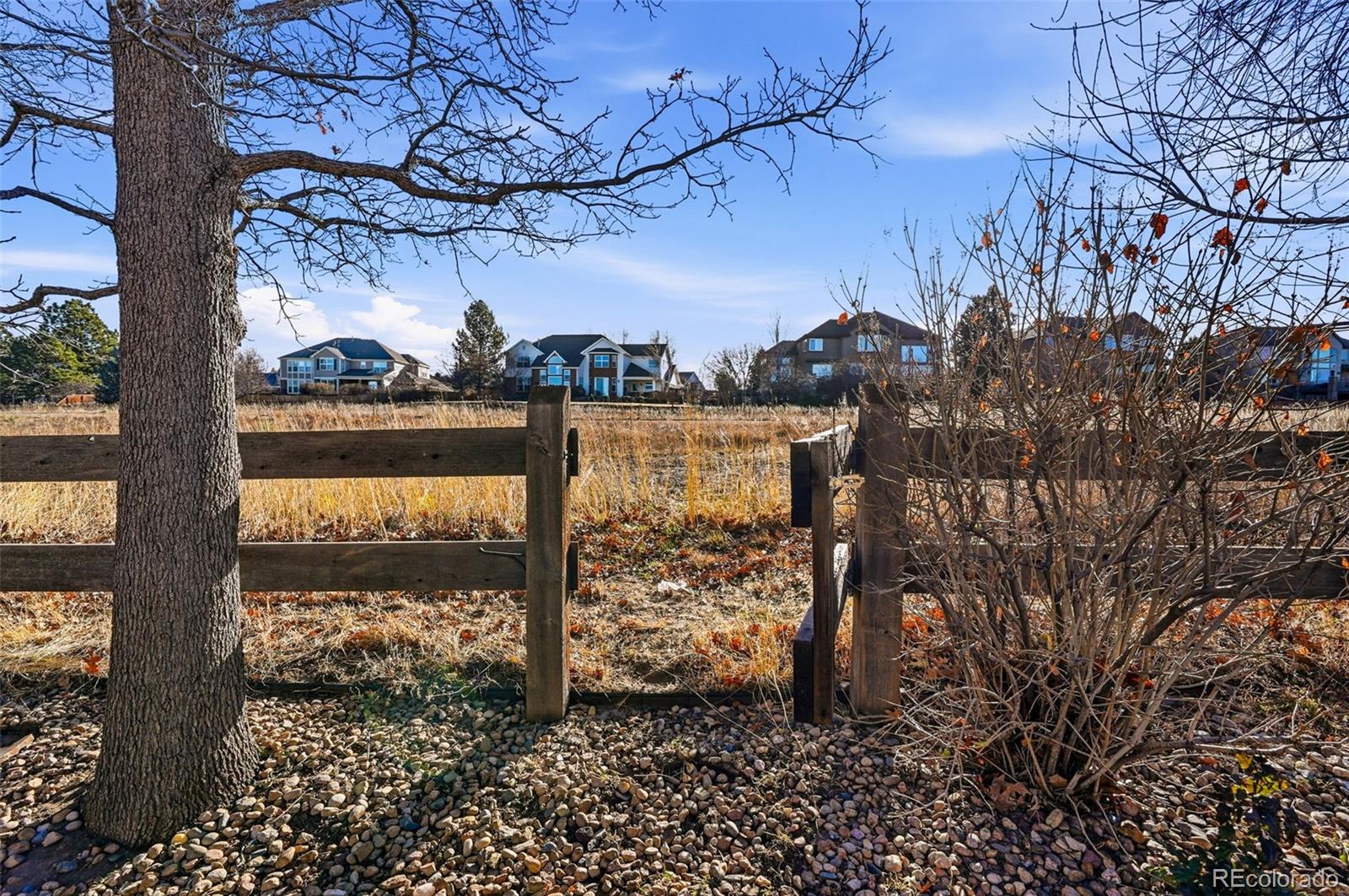 MLS Image #45 for 10482  grizzly gulch ,highlands ranch, Colorado