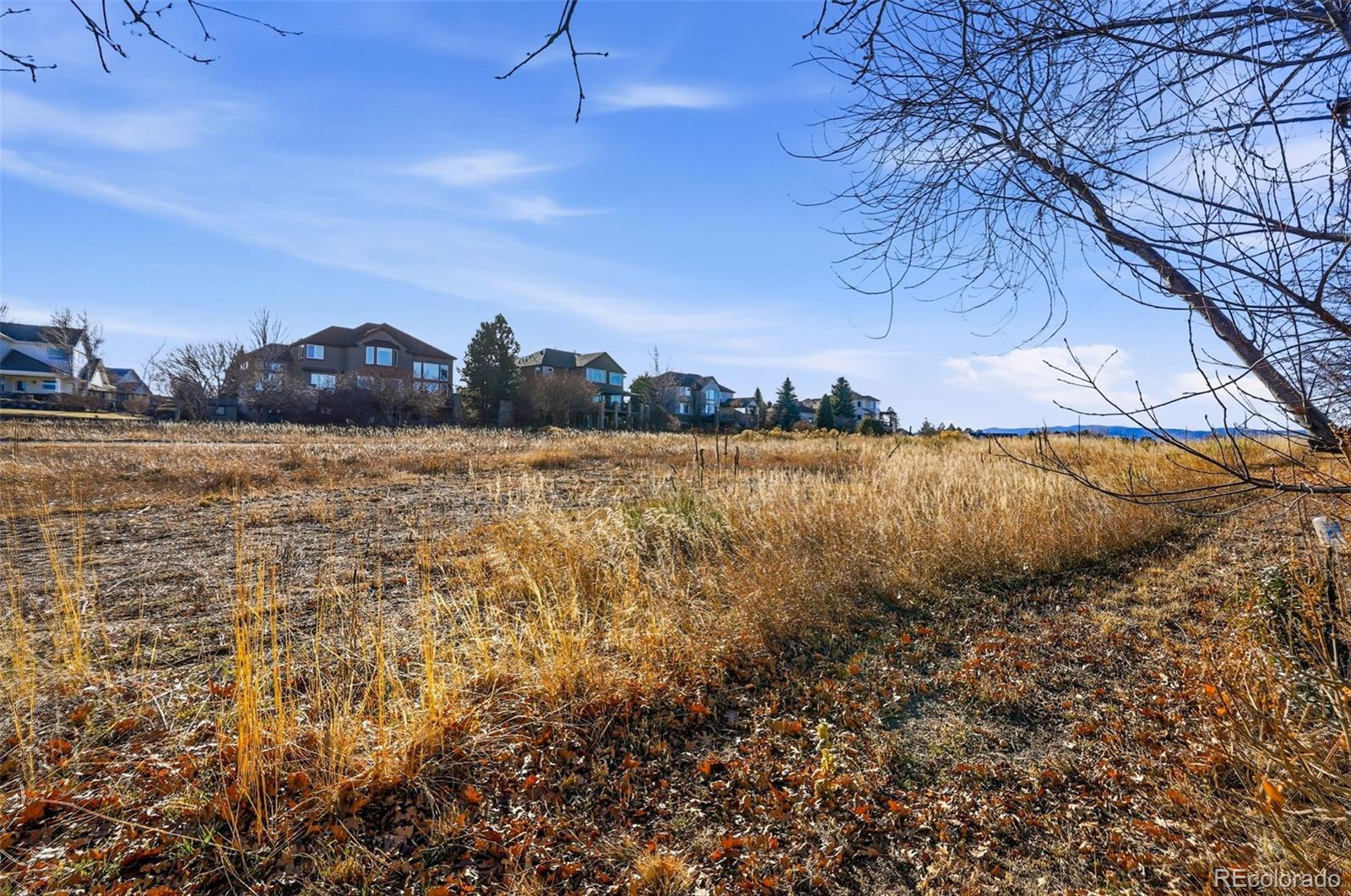 MLS Image #46 for 10482  grizzly gulch ,highlands ranch, Colorado