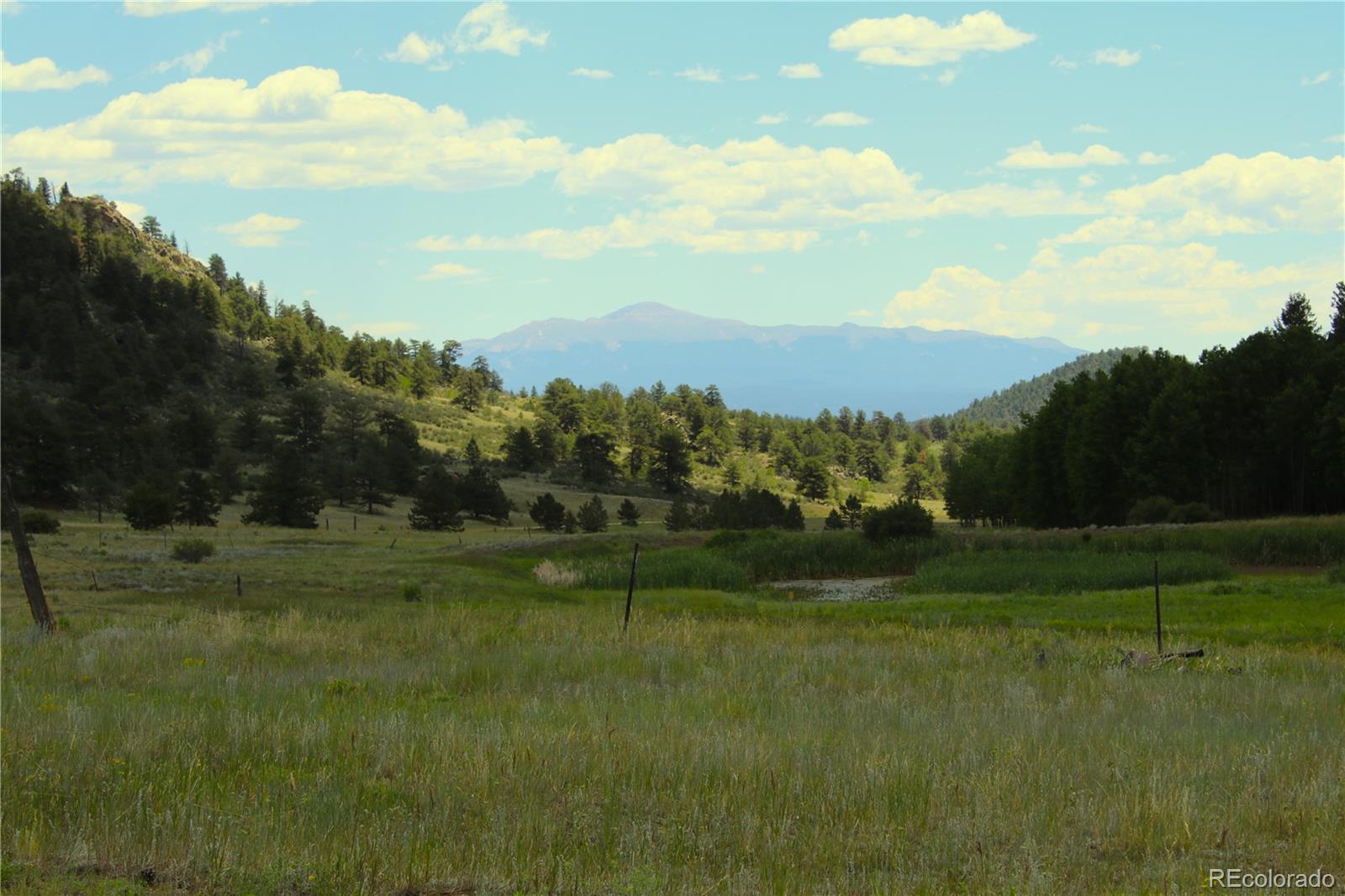 MLS Image #1 for 340  cr90 ,lake george, Colorado