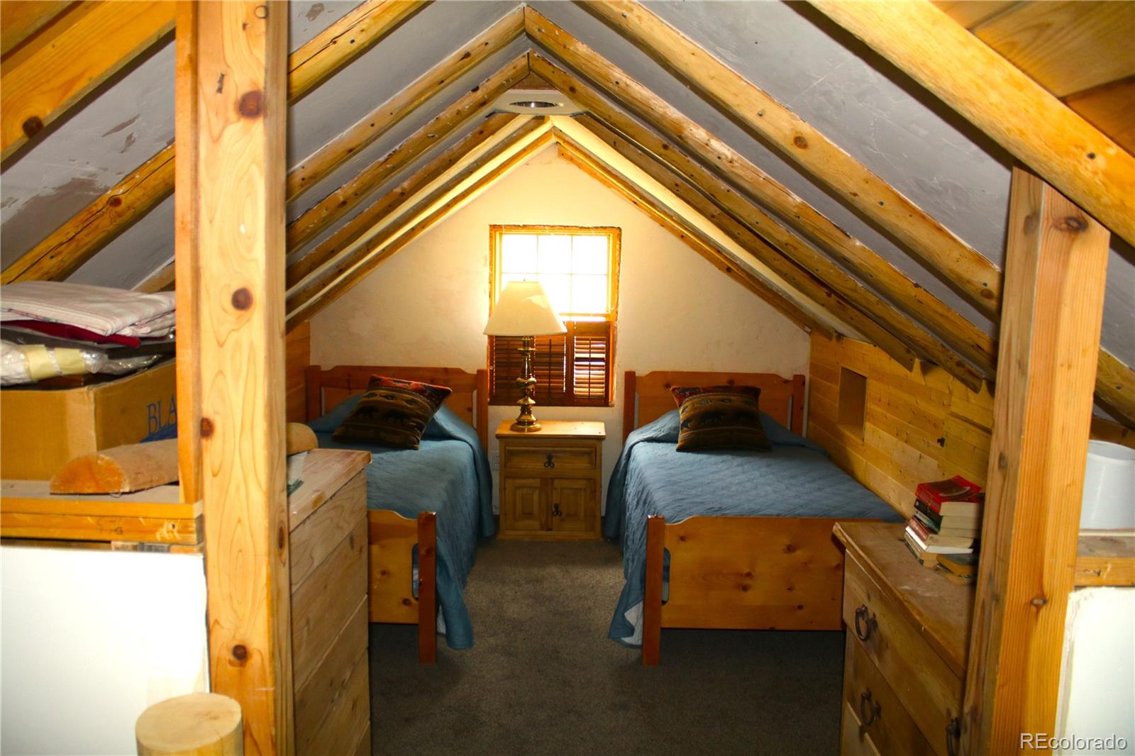 MLS Image #15 for 340  cr90 ,lake george, Colorado