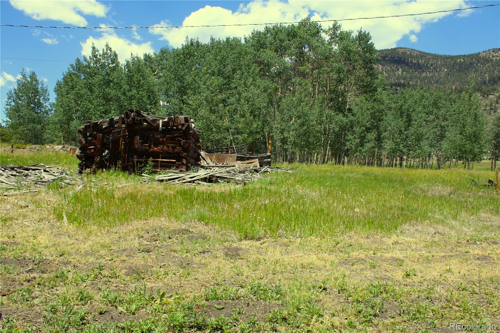 MLS Image #18 for 340  cr90 ,lake george, Colorado