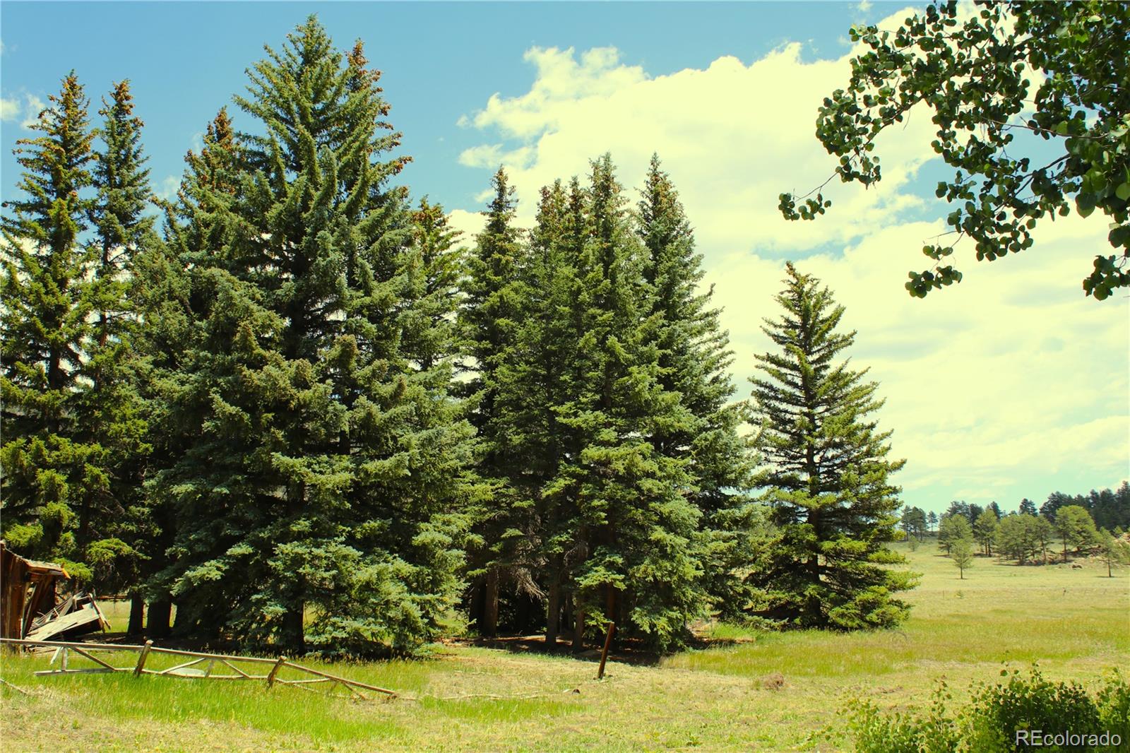 MLS Image #19 for 340  cr90 ,lake george, Colorado