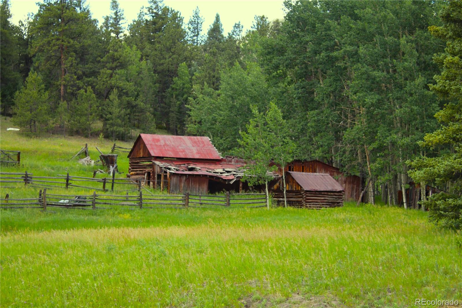 MLS Image #2 for 340  cr90 ,lake george, Colorado