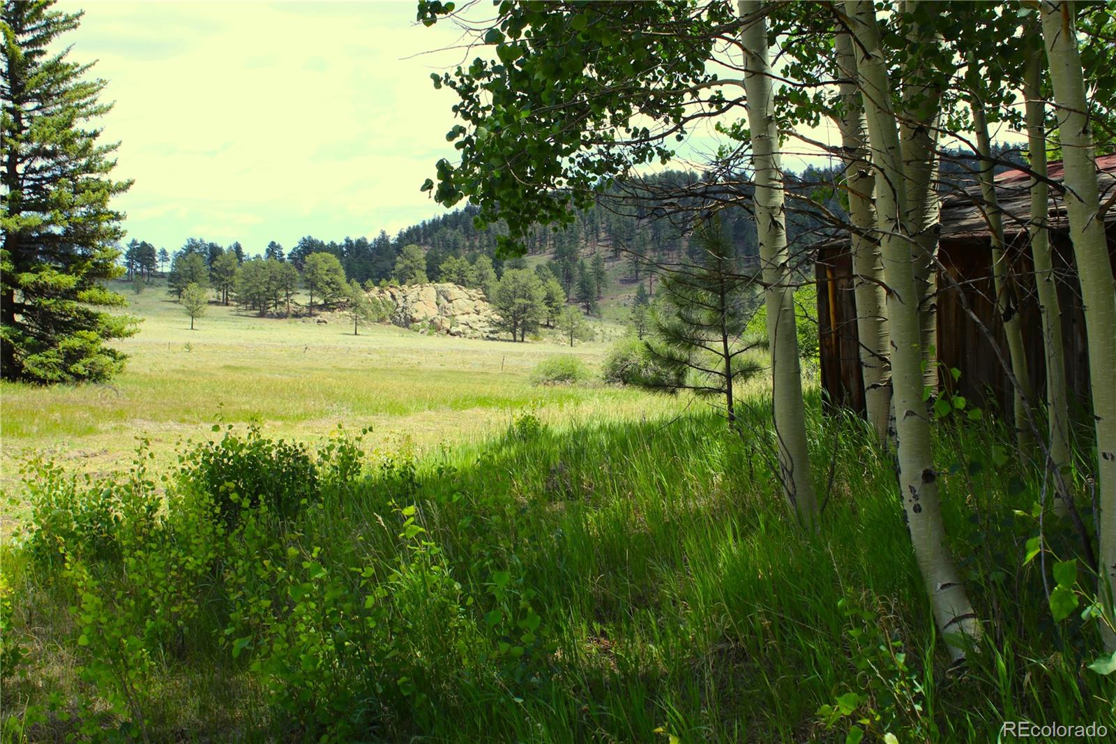 MLS Image #20 for 340  cr90 ,lake george, Colorado