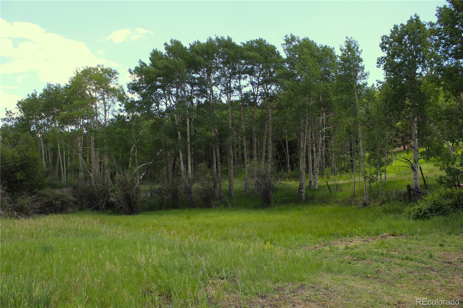 MLS Image #21 for 340  cr90 ,lake george, Colorado