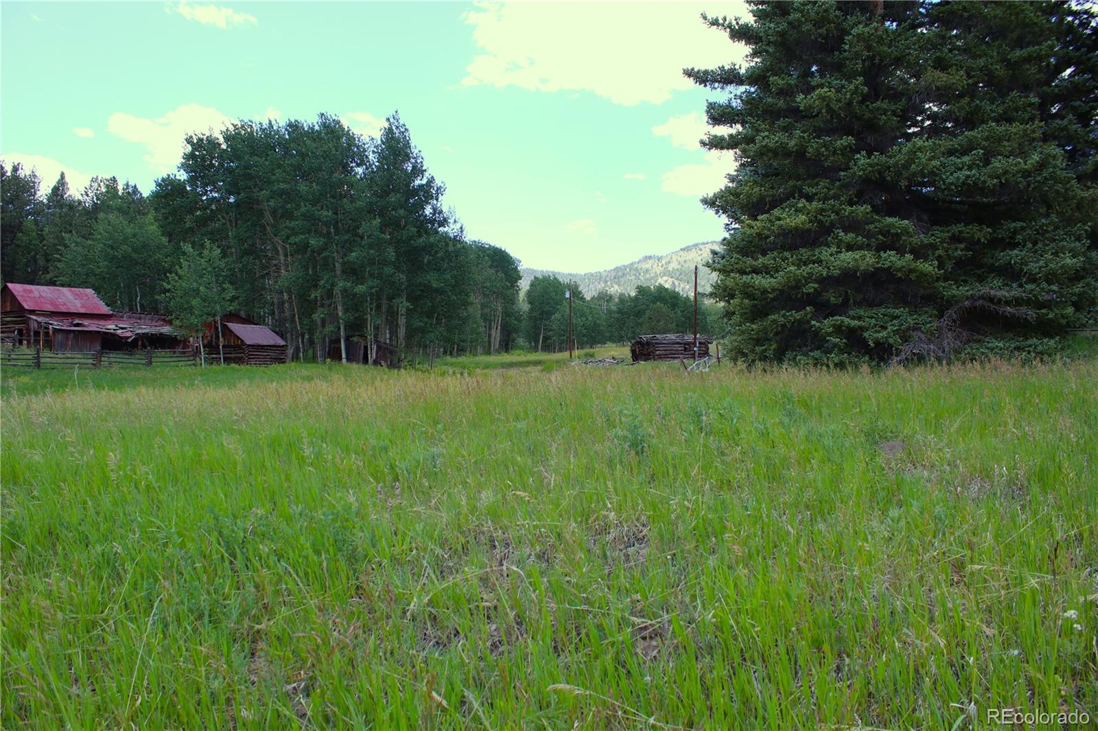 MLS Image #3 for 340  cr90 ,lake george, Colorado