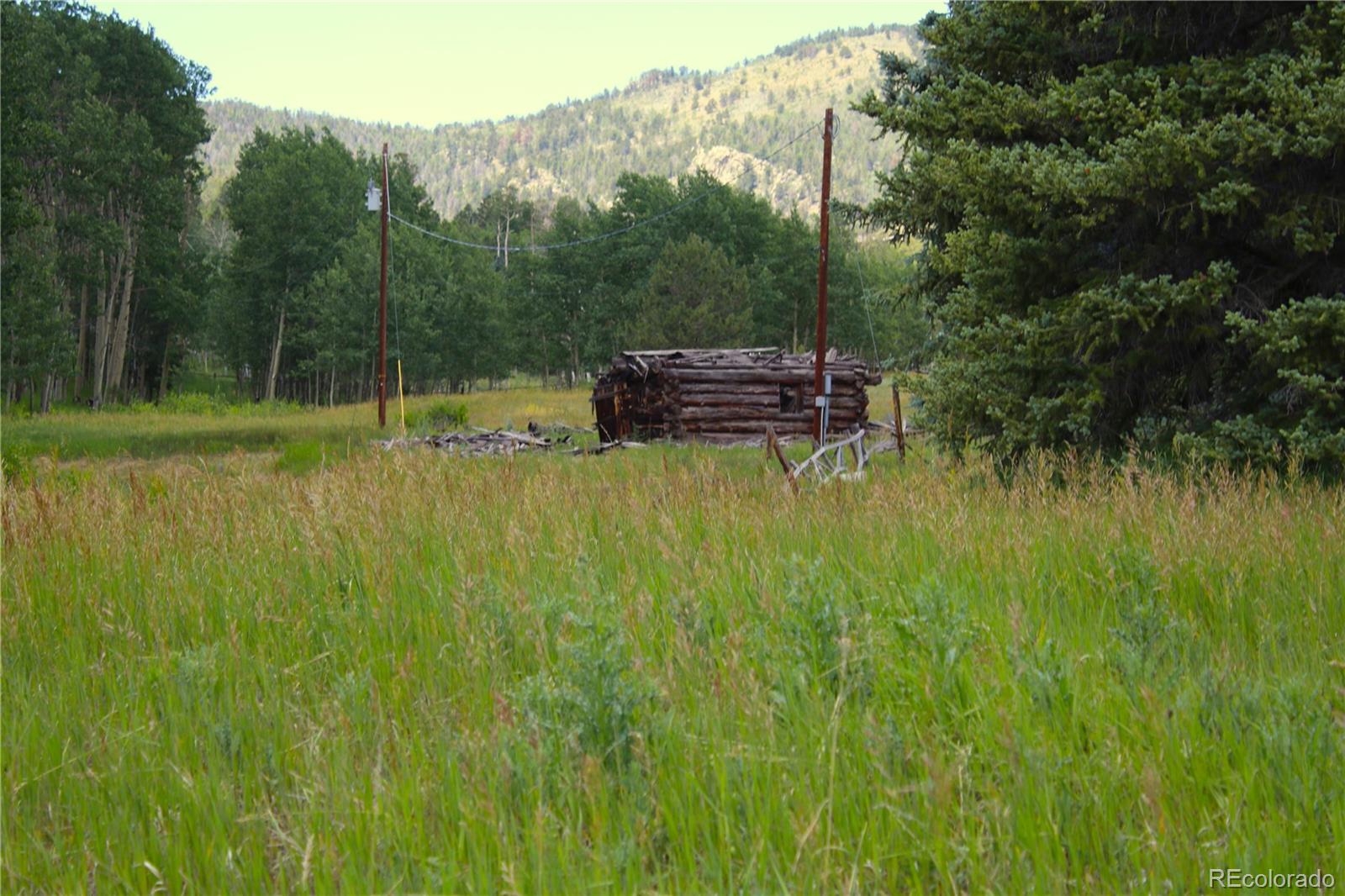 MLS Image #4 for 340  cr90 ,lake george, Colorado