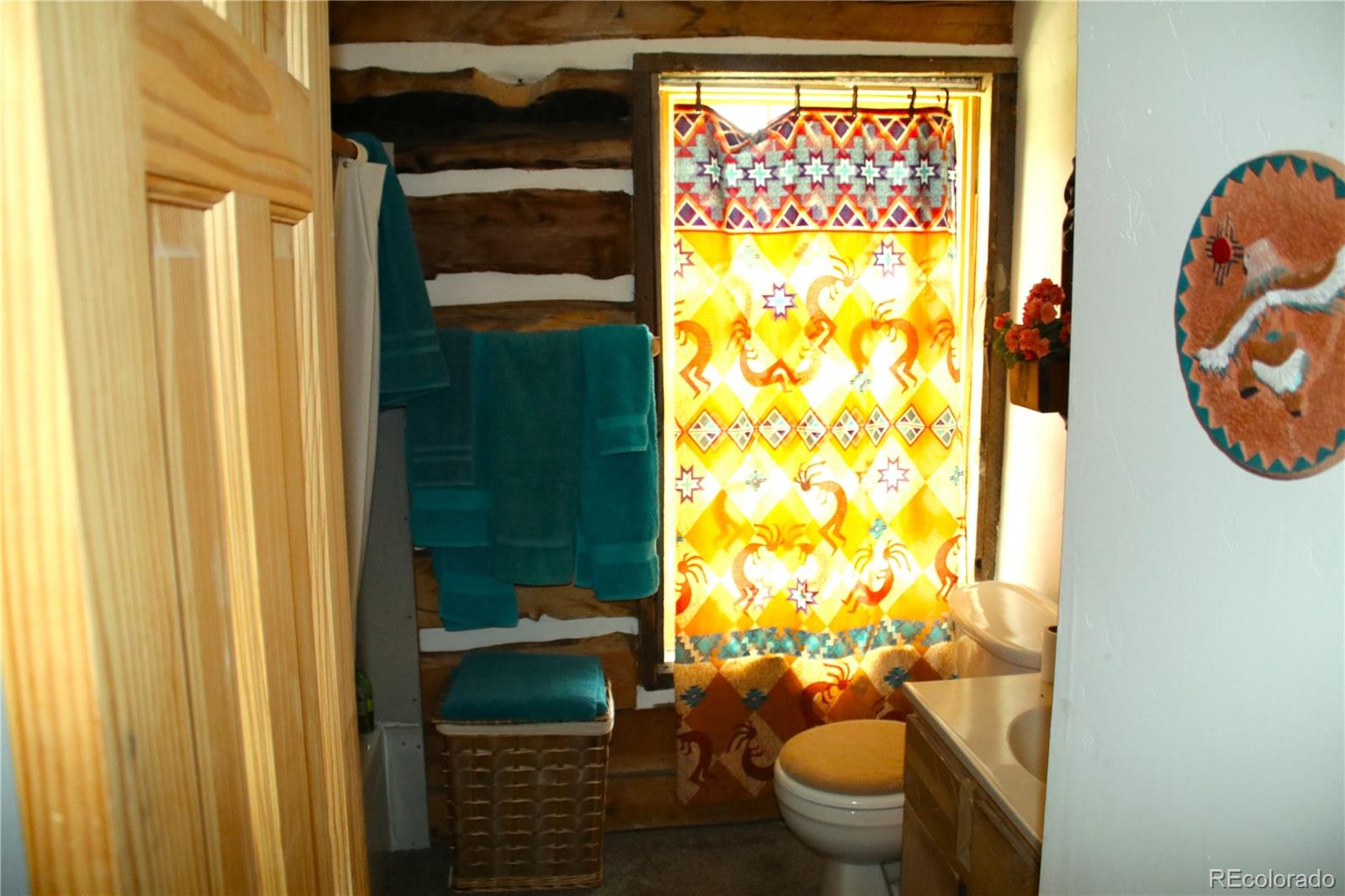 MLS Image #8 for 340  cr90 ,lake george, Colorado