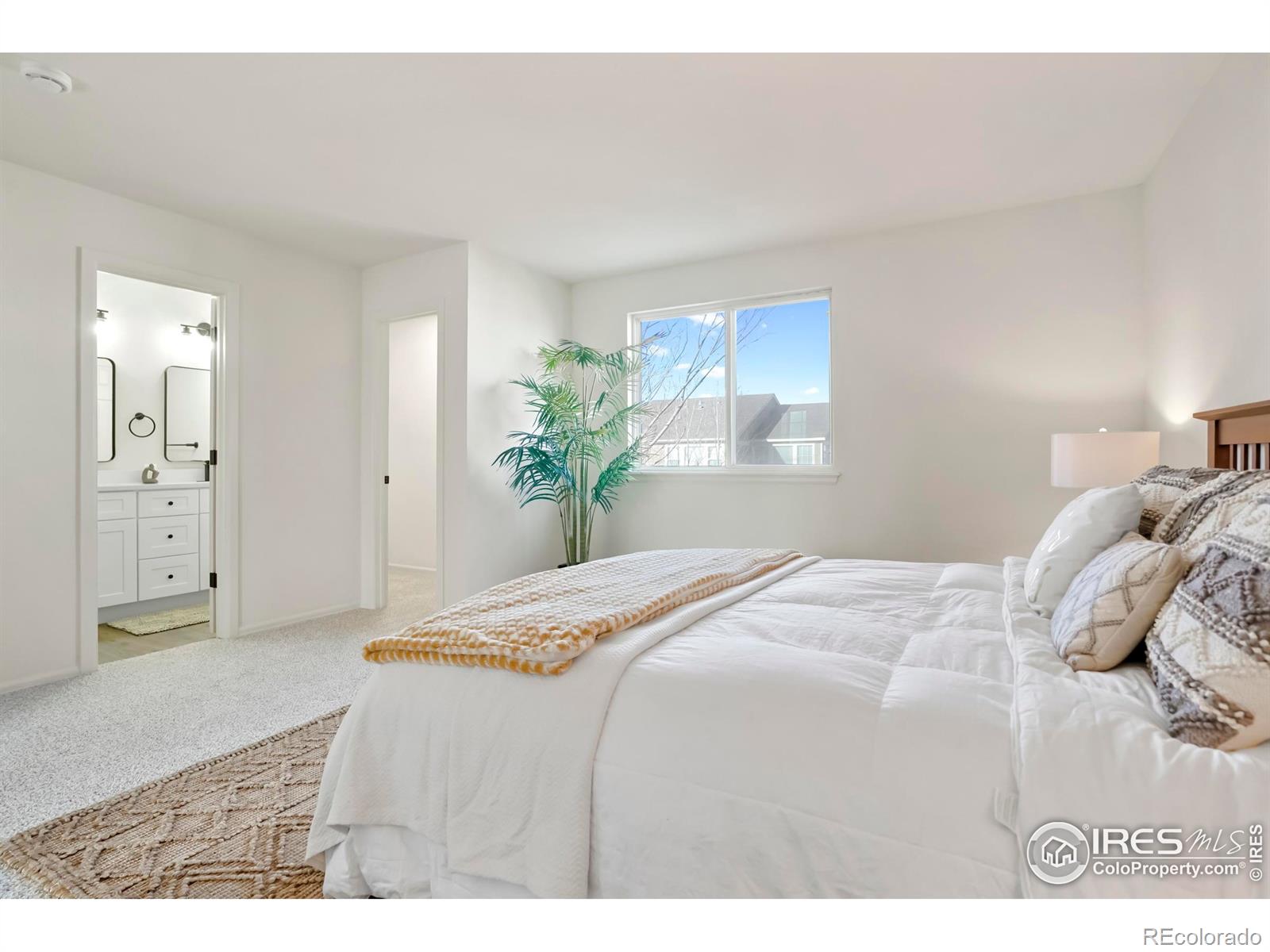 MLS Image #11 for 5619  blue mountain circle,longmont, Colorado