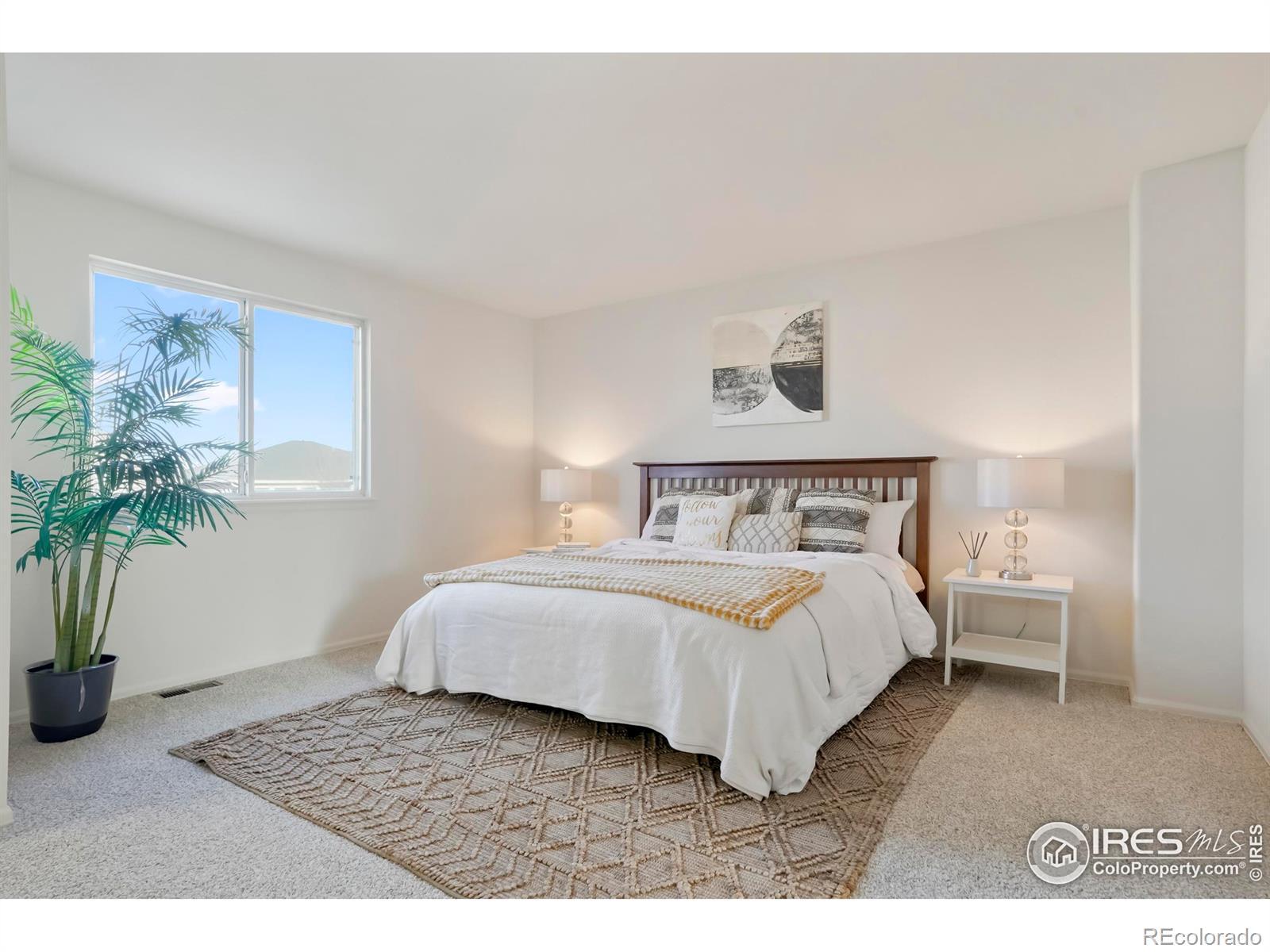 MLS Image #12 for 5619  blue mountain circle,longmont, Colorado