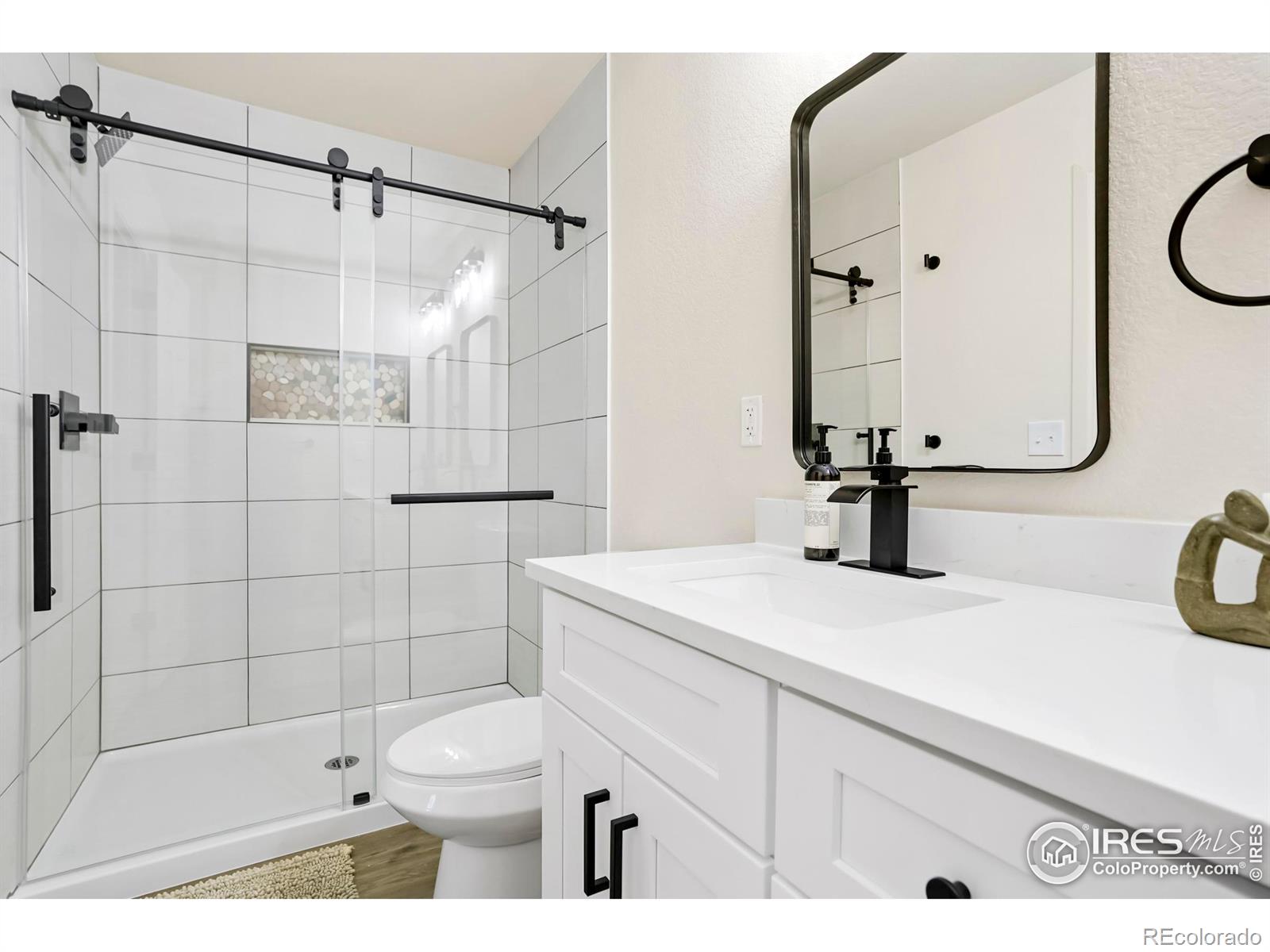 MLS Image #14 for 5619  blue mountain circle,longmont, Colorado