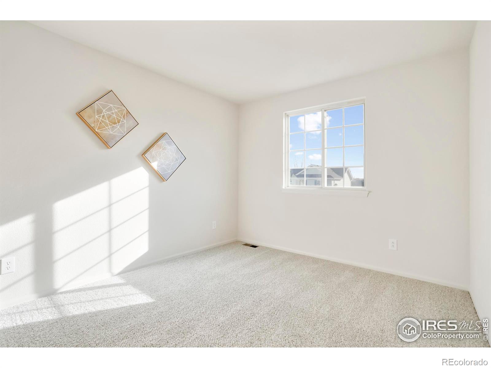 MLS Image #16 for 5619  blue mountain circle,longmont, Colorado