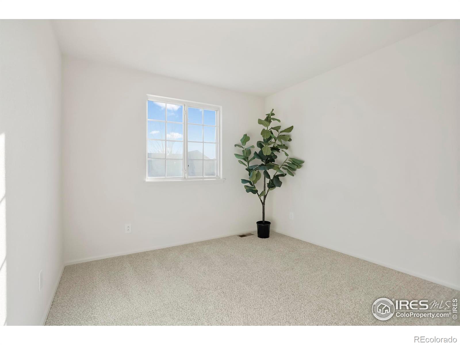 MLS Image #19 for 5619  blue mountain circle,longmont, Colorado